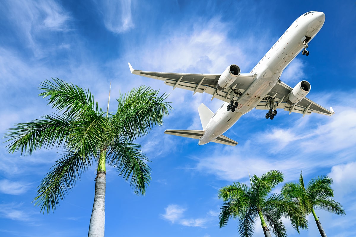 Aircraft flying over trees